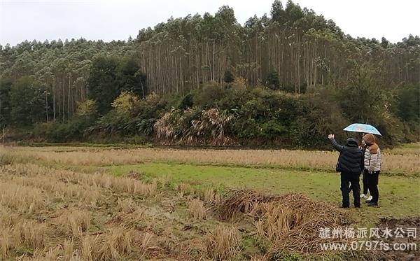 七台河市陈老师带着爱徒寻龙点穴